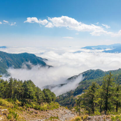 A Découvrir à Taïwan - Le Parc National de Yushan