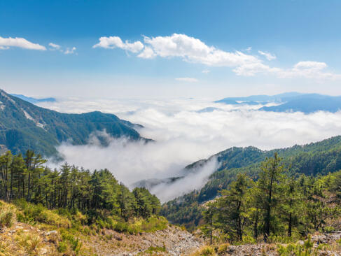 A Découvrir à Taïwan - Le Parc National de Yushan