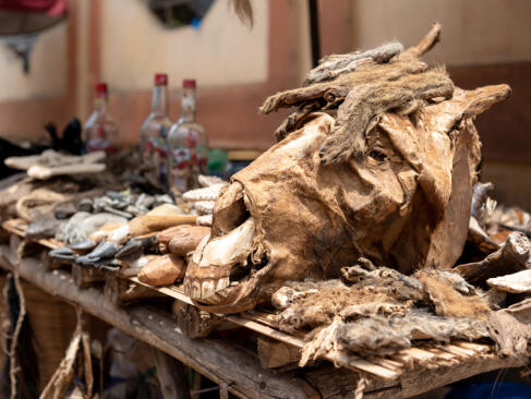 A Découvrir au Bénin - Ouidah