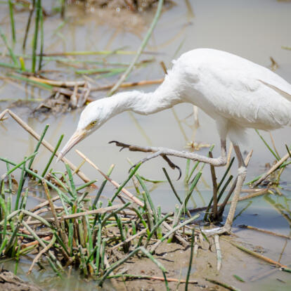 A Découvrir au Bénin - Le Parc de la Pendjari