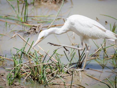 A Découvrir au Bénin - Le Parc de la Pendjari