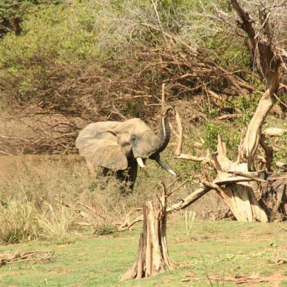 A Découvrir au Bénin - Le Parc de la Pendjari