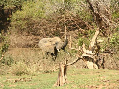 A Découvrir au Bénin - Le Parc de la Pendjari