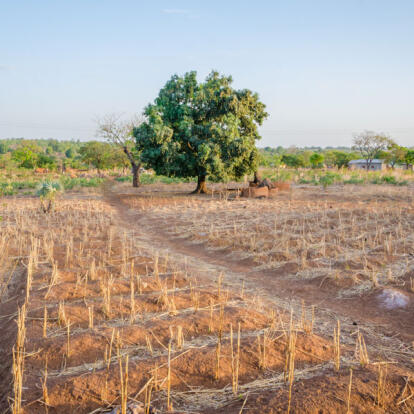 A Découvrir au Bénin - Natitingou et le pays Somba
