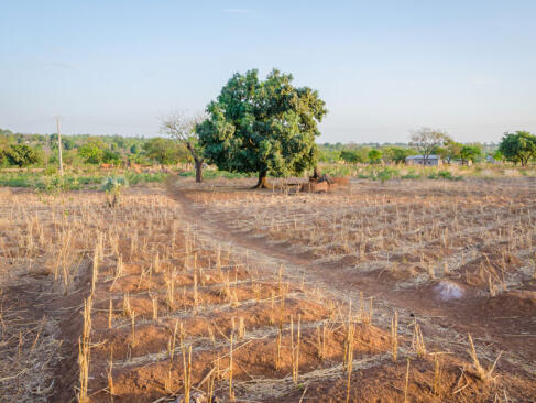 A Découvrir au Bénin - Natitingou et le pays Somba