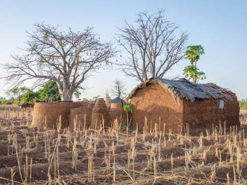 A Découvrir au Bénin - Natitingou et le pays Somba