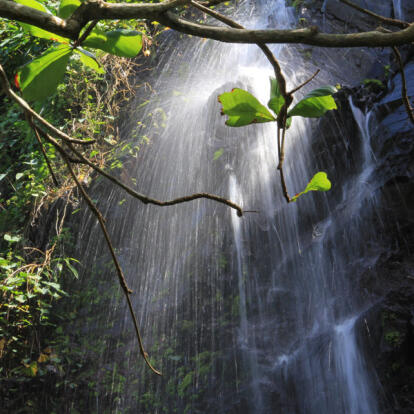 A Découvrir à l'Ile de la Réunion - L’Anse des Cascades