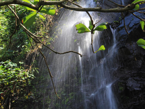 A Découvrir à l'Ile de la Réunion - L’Anse des Cascades