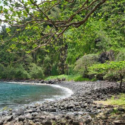 A Découvrir à l'Ile de la Réunion - L’Anse des Cascades