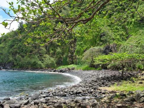 A Découvrir à l'Ile de la Réunion - L’Anse des Cascades