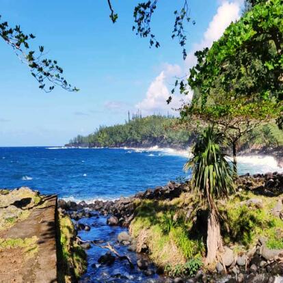 A Découvrir à l'Ile de la Réunion - L’Anse des Cascades