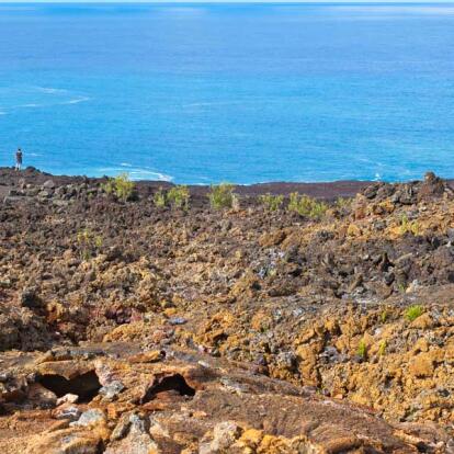 A Découvrir à l'Ile de la Réunion - Grand Brûlé