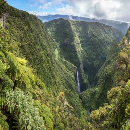 A Découvrir à l'Ile de la Réunion -Les forêts de Bébour-Bélouve