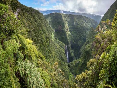 A Découvrir à l'Ile de la Réunion -Les forêts de Bébour-Bélouve