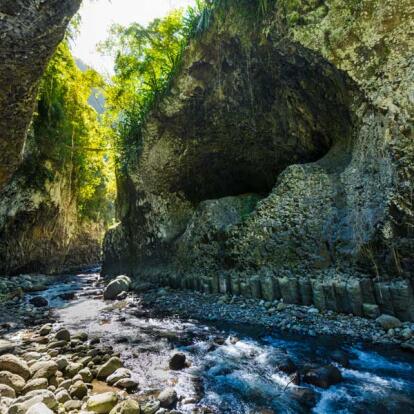 A Découvrir à l'Ile de la Réunion -Les forêts de Bébour-Bélouve