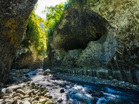A Découvrir à l'Ile de la Réunion -Les forêts de Bébour-Bélouve