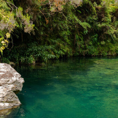 A Découvrir à l'Ile de la Réunion -Les forêts de Bébour-Bélouve