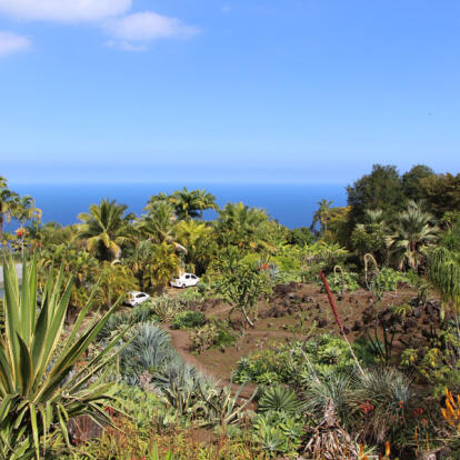 A découvrir à l'Ile de la Réunion - Jardin de Mascarin