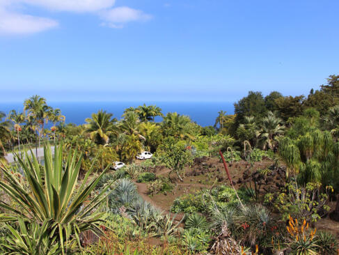 A découvrir à l'Ile de la Réunion - Jardin de Mascarin