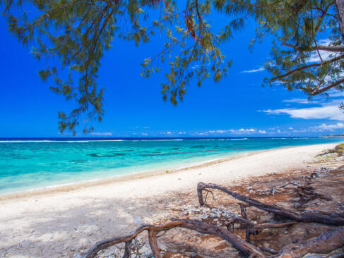 A Découvrir à l'Ile de la Réunion - La Plage de l'Hermitage