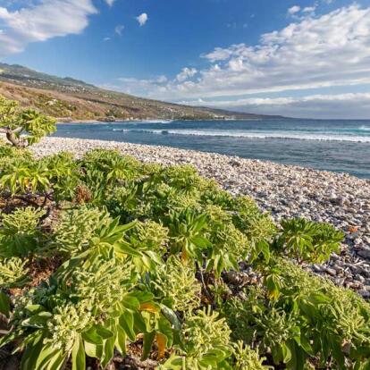 A Découvrir à l'Ile de la Réunion - Saint-Leu