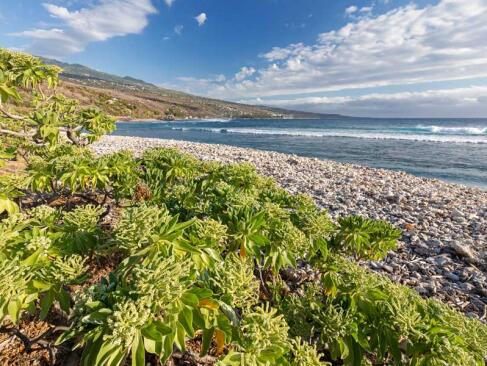 A Découvrir à l'Ile de la Réunion - Saint-Leu