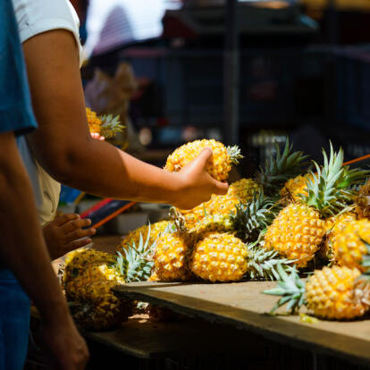 A Découvrir à l'Ile de la Réunion - Saint-Paul