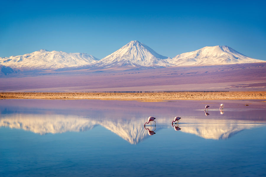 Chili - La route des geysers, El Tatio et au-delà