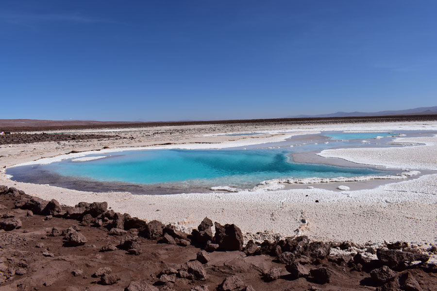 Chili - La route des geysers, El Tatio et au-delà