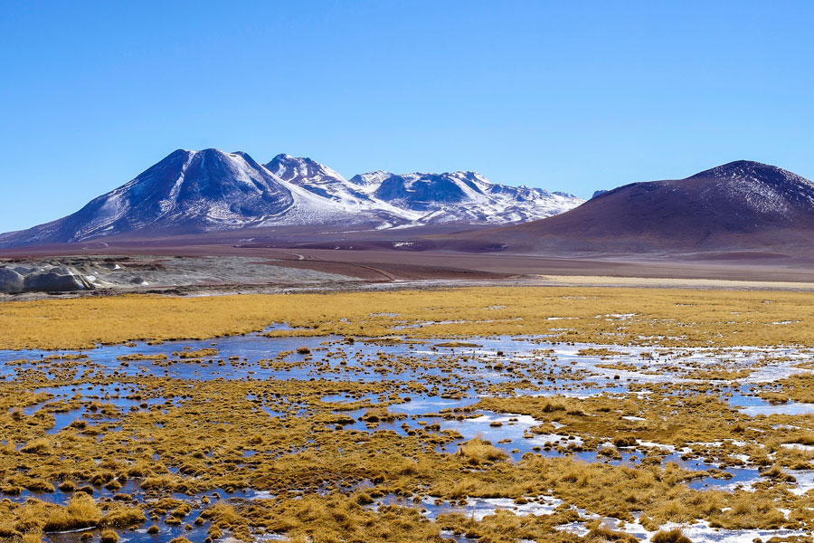 Chili - La route des geysers, El Tatio et au-delà
