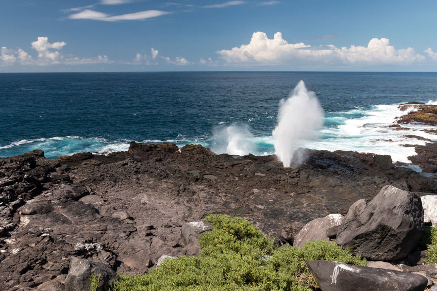 Equateur - Croisière aux Galapagos, les escales incontournables