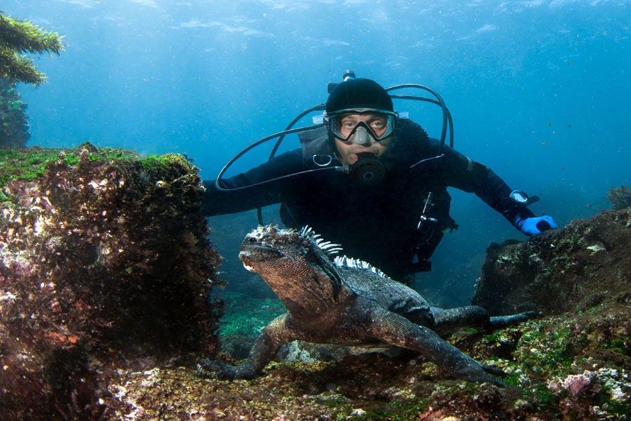 Equateur - Croisière aux Galapagos, les escales incontournables
