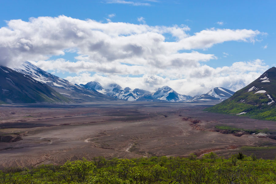 Alaska - Katmai, le royaume des ours bruns d'Alaska