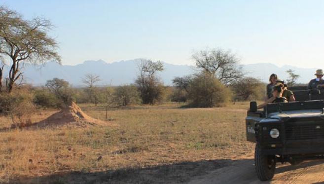 Les Plantes Magiques d’Afrique du Sud