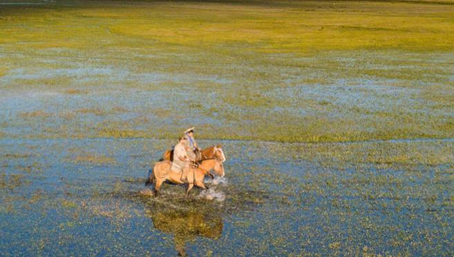 Excursion aux Esteros del Ibera