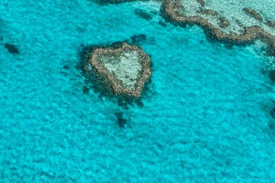 Great Barrier Reef - Heart Island Voyage Découverte en Australie - La Grande Barrière de Corail