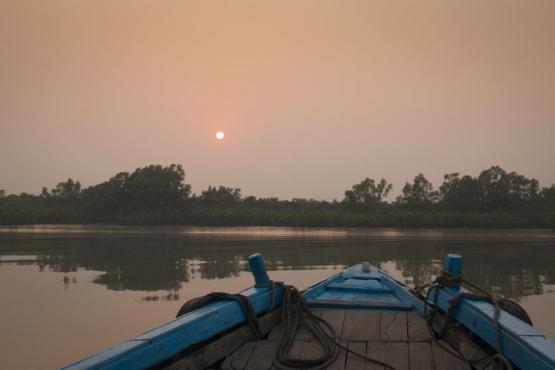 Voyage Découverte au Bangladesh - La Forêt de Mangrove des Sundarbans