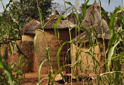 Voyage découverte au Bénin - Les Tata, des Châteaux Forts… en Banco