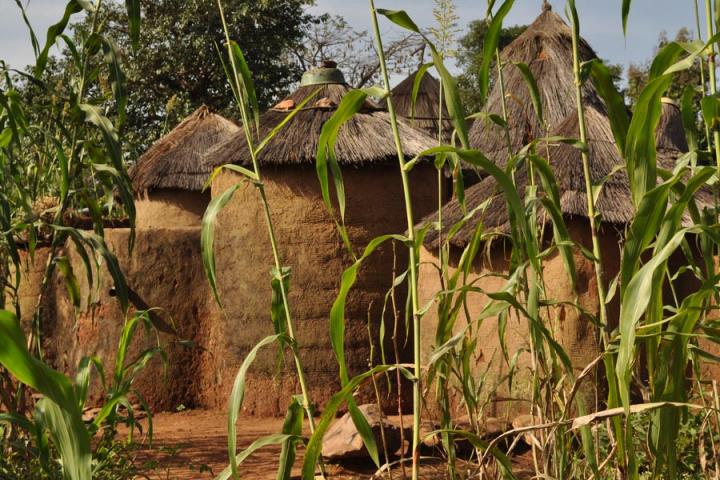 Voyage découverte au Bénin - Les Tata, des Châteaux Forts… en Banco
