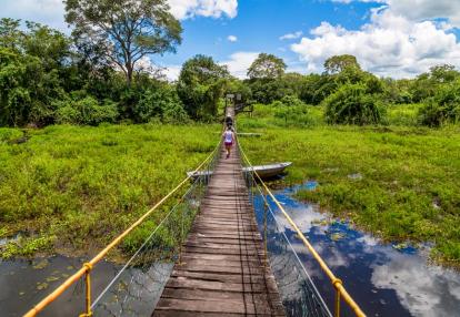 Pantanal Voyage Découverte au Brésil - Le Pantanal, en Jungle Brésilienne