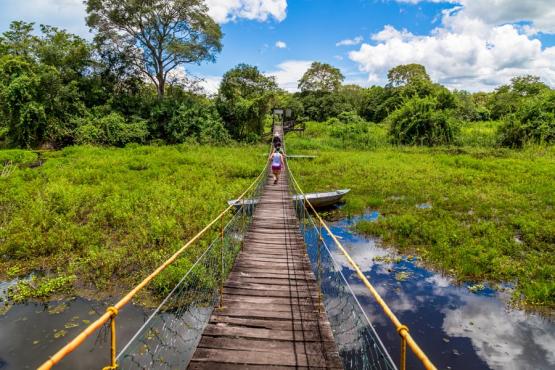 Voyage Découverte au Brésil - Le Pantanal, en Jungle Brésilienne
