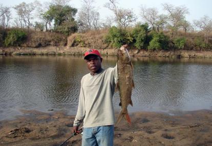 Voyage Découverte au Cameroun - Pêche Sportive et Petits Hommes de la Forêt