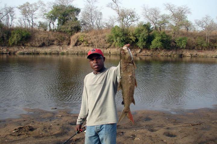 Voyage Découverte au Cameroun - Pêche Sportive et Petits Hommes de la Forêt