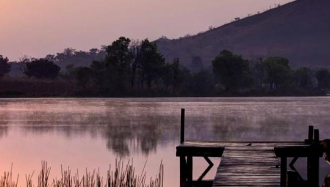 La Pêche Sportive au Nord & les Petits Hommes de la Forêt au Sud