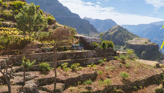 Randonnées au carrefour de trois continents à Santo Antão