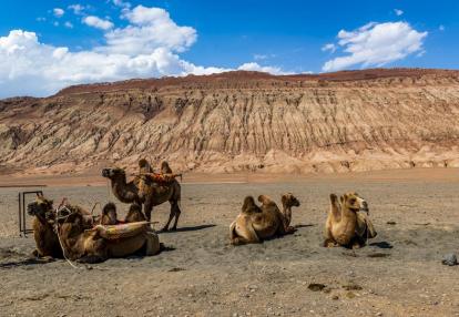 Voyage découverte en Chine - Les Grands Espaces de la Mongolie Intérieure