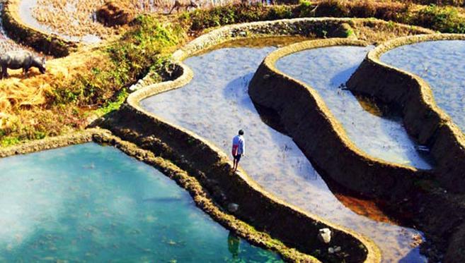 Les Rizières en Terrasses de Yuanyang