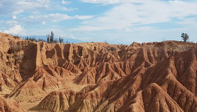 Tatacoa, un Désert bien Vivant
