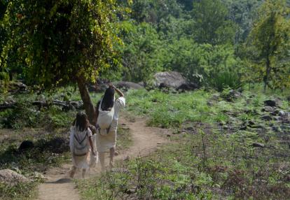 Voyage Découverte en Colombie  - A la rencontre des peuples de la Sierra Nevada