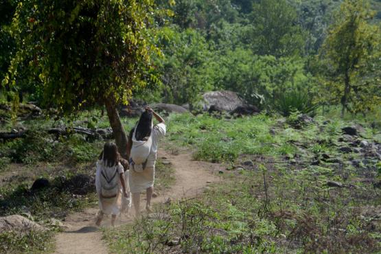 Sierra Nevada Voyage Découverte en Colombie  - A la rencontre des peuples de la Sierra Nevada